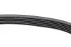 Ремінь генератора VW Polo/Up 11-/Skoda Fabia 14-/Seat Ibiza 1.0/1.6 15- (6PK989) HUTCHINSON 989 SK 6 (фото 4)