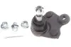 Опора кульова (передня/знизу/L) Honda CR-V 2.0/2.4/2.2D 06-12 SKF VKDS 813013