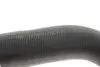 Патрубок інтеркулера (випуск) Ford Connect 1.8 TDCi 02-13 NRF 166100 (фото 3)