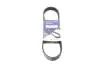 Ремінь генератора Citroen Berlingo/Jumper/Jumpy/Fiat Ducato/Scudo/Peugeot Boxer/Expert (6PK722) HUTCHINSON 722 K 6