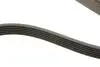 Ремінь генератора Infiniti FX/M45/Lexus GS/Mitsubishi Outlander 1.8-4.5 93- HUTCHINSON 1940 K 6 (фото 3)