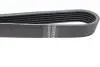 Ремінь генератора VW LT 2.8TDI 96KW/Ford Transit 2.0DI 00-14 (6PK1637) HUTCHINSON 1637 K 6 (фото 3)