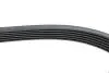 Ремінь генератора VW LT 2.8TDI 96KW/Ford Transit 2.0DI 00-14 (6PK1637) HUTCHINSON 1637 K 6 (фото 4)
