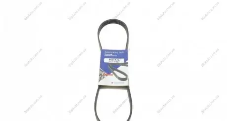 Ремінь генератора BMW 3/5 90-00 / Ford Focus 2.5 05-12 HUTCHINSON 890 K 5