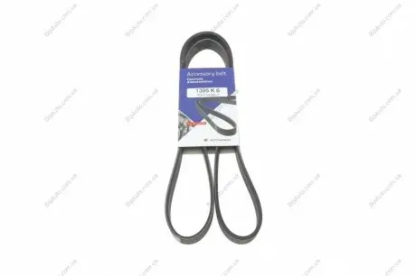 Ремінь генератора Hyundai Accent II 1.5CRDi 02-05 HUTCHINSON 1395 K 6