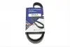 Ремінь генератора Ford Focus/Kuga 2.5 05- (5PK850) HUTCHINSON 850 K 5