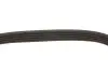 Ремінь генератора VW Golf V/Passat/Touran 1.4TSI 05-/Skoda Fabia 1.4 TSI RS 10-14 (5PK491) FEBI BILSTEIN 176318 (фото 3)