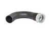 BUGIAD 82658 Патрубок інтеркулера Audi A3/Skoda Superb II/VW Passat 2.0 Tdi 03-12 82658