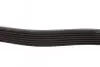 Ремінь генератора Toyota Prado 3.0 D-4D 02-10 DAYCO 7PK1809 (фото 2)