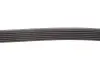 Ремінь генератора Audi A4/A6 2.4 97-05/Jeep Cherokee 2.5 86-90 Gates 6PK1855 (фото 3)