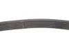 Ремінь генератора MB S-class (W222/V222/X222) 14- Gates 6PK725 (фото 3)