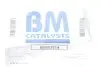 Катализатор вихлопної системи Renault Kangoo/Megane/Dacia Logan 1.5dCi 05- BM CATALYSTS BM80357H (фото 2)