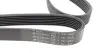 Комплект ременя генератора Renault Trafic 1.6 dCi 14-/MB Vito (W447) 1.6 CDI 14- (7PK1685) KHV 254 HUTCHINSON KHV254 (фото 4)