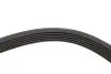 Ремінь генератора BMW X5/Ford Focus 1.4/1.6 16V 98- (6PK1892) 1892 K 6 HUTCHINSON 1892K6 (фото 4)