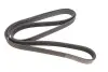 Ремінь генератора BMW X5/Ford Focus 1.4/1.6 16V 98- (6PK1892) 1892 K 6 HUTCHINSON 1892K6 (фото 5)