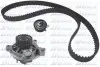 DOLZ VW К-кт ГРМ (помпа + ремень + ролик) TRANSPORTER IV 2.4 D 97-03 KD087 DOLZ KD087