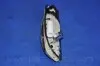 Електробензонасос DAEWOO NUBIRA 1,6/2,0 16V (J100) PARTS-MALL PDC-M004 (фото 3)