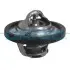 DAYCO FORD Термостат с прокладкой t-82C Fiesta V 01-, Focus II 04-, Mazda 2 03- DT1050V DAYCO