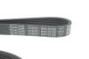 Ремінь генератора Ford Focus/Kuga/C-Max 1.5 EcoBoost 14- DAYCO 6PK1027EE (фото 4)