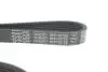 Ремінь генератора Ford Focus/Kuga/C-Max 1.5 EcoBoost 14- DAYCO 6PK1027EE (фото 4)