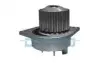 DAYCO CITROEN помпа води C2,C3,C4 02- DP035 DAYCO DP035