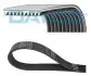 DY DAYCO 10PK1355HD (фото 1)