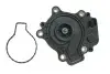 Водяний насос (Вир-во SKF) VKPC 91856