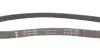 Ремінь генератора Citroen Berlingo 1.1-1.4 96-/ Subaru Forester/ Impreza/ Legacy 1.6-2.5 92-09 INA FB 5PK880 (фото 2)