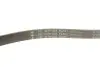 Комплект ременя генератора Citroen Jumper/Peugeot Boxer 2.2 HDi 06- (6PK1640/4EPK922) INA 529 0322 10 (фото 8)