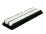 Фільтр повітряний двигуна HYUNDAI Eon 1.0 MANN-FILTER C36020 C 36020