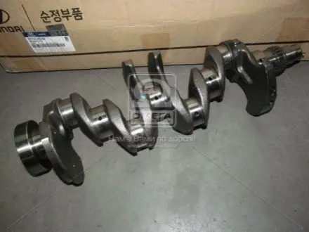 Колінчатий вал MOBIS 231102B100