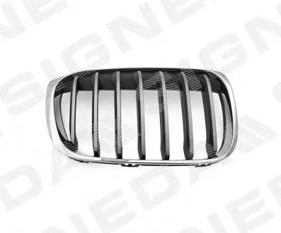 Решітка радіатора BMW X1 (F48), 15 - Signeda PBM07127GAR