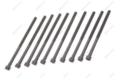 Комплект болтів гбц (10 шт) BMW 3 (F30/F80)/5 (G30/F90)/X3 (G01/F97) 15- B46/B48 REINZ VICTOR REINZ 14-12261-02
