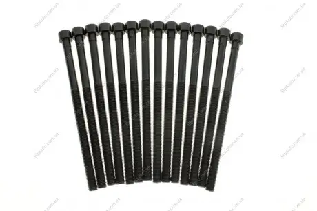 Комплект болтів гбц (14шт) BMW 3 (F30/F80)/5 (G30/F90)/X3 (G01/F97) 15- B46/B48 REINZ VICTOR REINZ 14-12261-03
