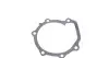 Помпа води Subaru Impreza/Forester 2.0 Turbo AWD/WRX STi AWD/2.5AWD/XT AWD 97- INA 538 0651 10 (фото 2)