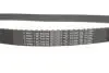 Комплект ГРМ + помпа Chevrolet Aveo 1.4/1.6 08-/Fiat Stilo 1.6 16V 05-07 (24x146z) 1 987 948 800 BOSCH 1987948800 (фото 12)