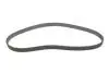 Комплект ГРМ + помпа Chevrolet Aveo 1.4/1.6 08-/Fiat Stilo 1.6 16V 05-07 (24x146z) 1 987 948 800 BOSCH 1987948800 (фото 14)