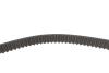 Комплект ГРМ + помпа Renault Clio/Kangoo/Megane/Scenic/Dacia Duster/Logan 1.5dCi 05- (27x123z) 1 987 946 983 BOSCH 1987946983 (фото 10)