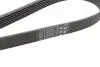 Комплект ременя генератора + помпа Audi A1/A3/Seat Ibiza/Skoda Octavia 1.4/1.6 02- HEPU PK05810 (фото 3)