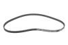 Комплект ГРМ + помпа Fiat Doblo/Palio/Panda/Punto 1.2i 96- (15x129z) 1 987 946 928 BOSCH 1987946928 (фото 11)