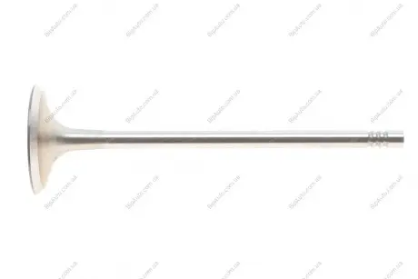 Впускний клапан двигуна Borsehung B10349