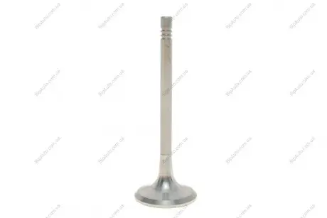 Клапан (випуск) VW Caddy/Golf/Passat 1.6 04-10/Skoda Octavia 1.6 00-13 VIKA 11090724501