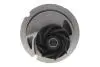 Комплект ГРМ + помпа Opel Astra G/H/Vectra 1.8 16V 98-10 (20x162z) 1 987 948 749 BOSCH 1987948749 (фото 4)