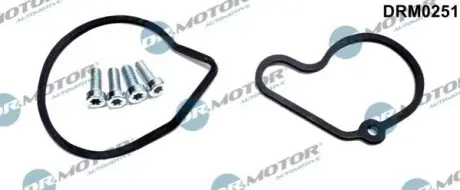 Ремкомплект вакуумної помпи з болтами DRMOTOR DR. MOTOR DRM0251