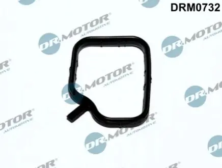 Прокладка фланця охолоджуючої рiдини DRMOTOR DR. MOTOR DRM0732 (фото 1)