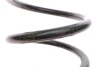Пружина (задня) VW Polo 1.4-1.6 16V (вар.ос.Polo Cross/Dune) 01-09 (хетч.) LESJOFORS 4295095 (фото 3)