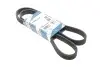 Ремінь генератора VW T5 3.2 V6 03-09/Sharan/Ford Galaxy 2.8 V6 00-10 (6PK1325) 1 987 946 206 BOSCH 1987946206 (фото 2)