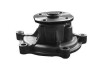 MAGNETI MARELLI DB помпа води W169,245 04- WPQ0705 MAGNETI MARELLI