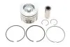 Поршень Citroen C3/C4/Berlingo/Peugeot 308/508/Partner 1.6 BlueHDi 14- (75.00mm/STD) GAZO GZ-F1691 (фото 1)