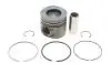 Поршень BMW 5 (E60) 05-10/X5 (E70) 3.0d (M57) 06-10 (84.00mm/STD) GAZO GZ-F1694 (фото 1)